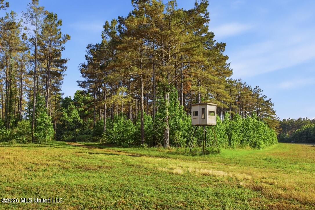 425 Rose Hill Road Bentonia, MS 39040 - Photo 145 of 150 3617A0FB-741A-4981-81FD-7C181D781BF8_1_1
