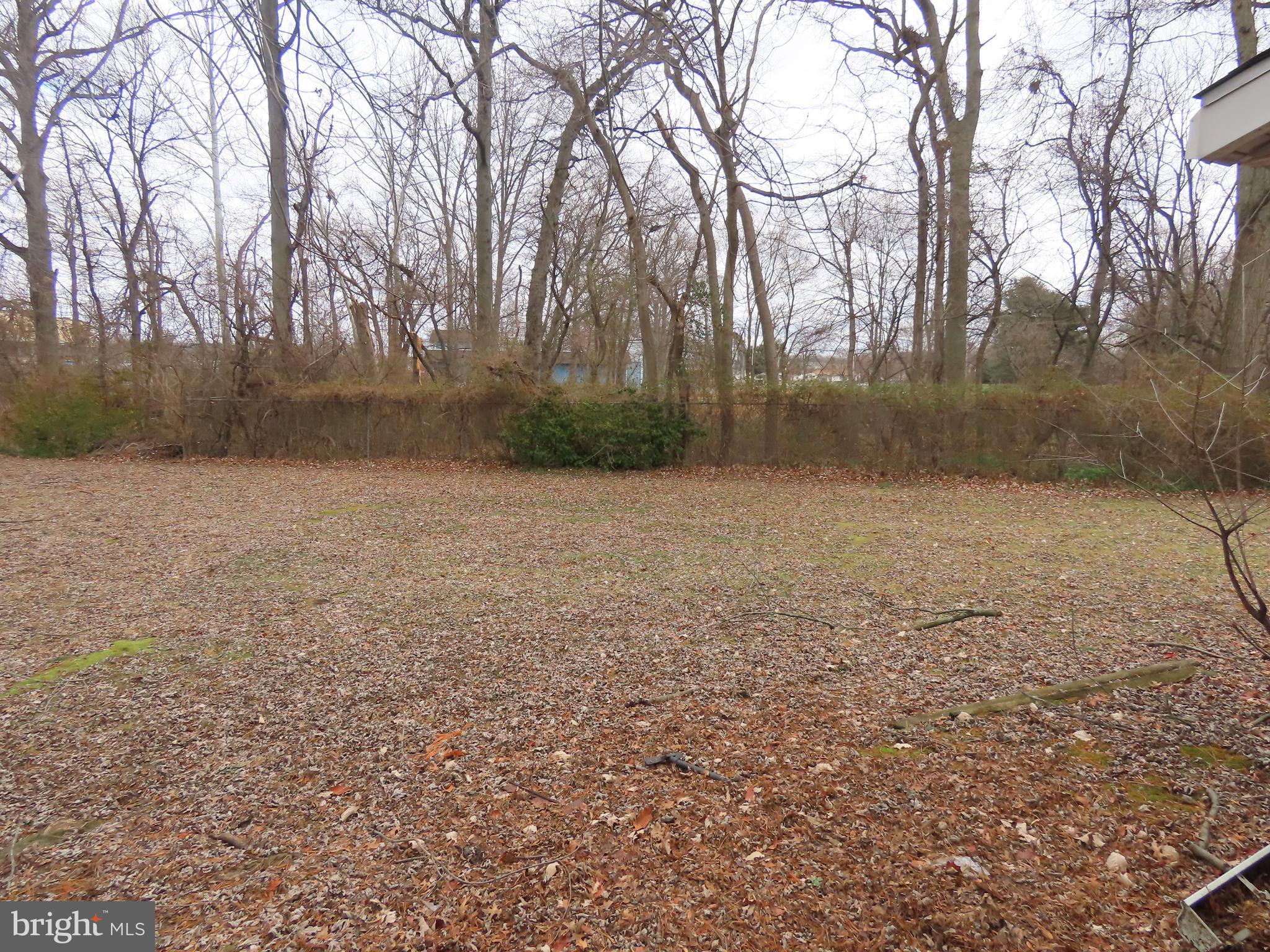 49 Northfield Road Newark, DE 19713 - Photo 12 of 15 Back yard