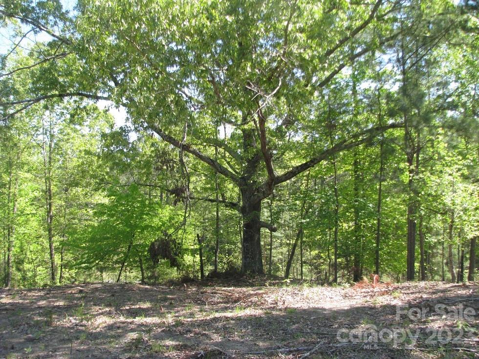 2.1-ac 2.1-ac Pilgrim Road Chester, SC 29706 - Photo 1 of 4 a view of outdoor space with trees all around