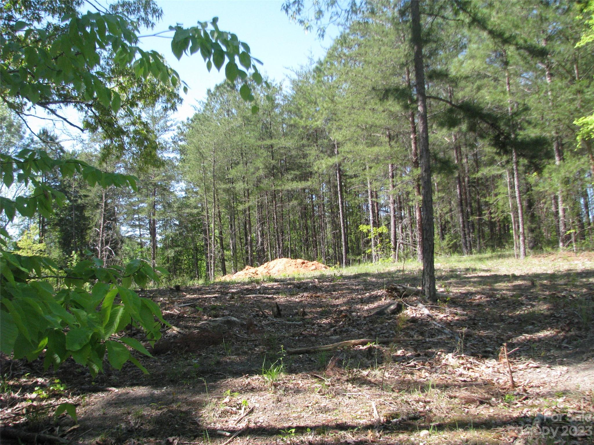 2.1-ac 2.1-ac Pilgrim Road Chester, SC 29706 - Photo 3 of 4 a view of a yard with plants and trees