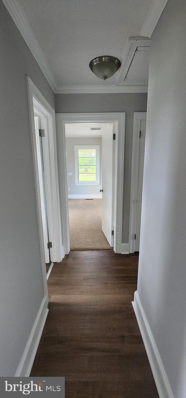 8432 Meadow Bridge Road Eden, MD 21822 - Photo 40 of 42 Bright and inviting hallway with modern charm.