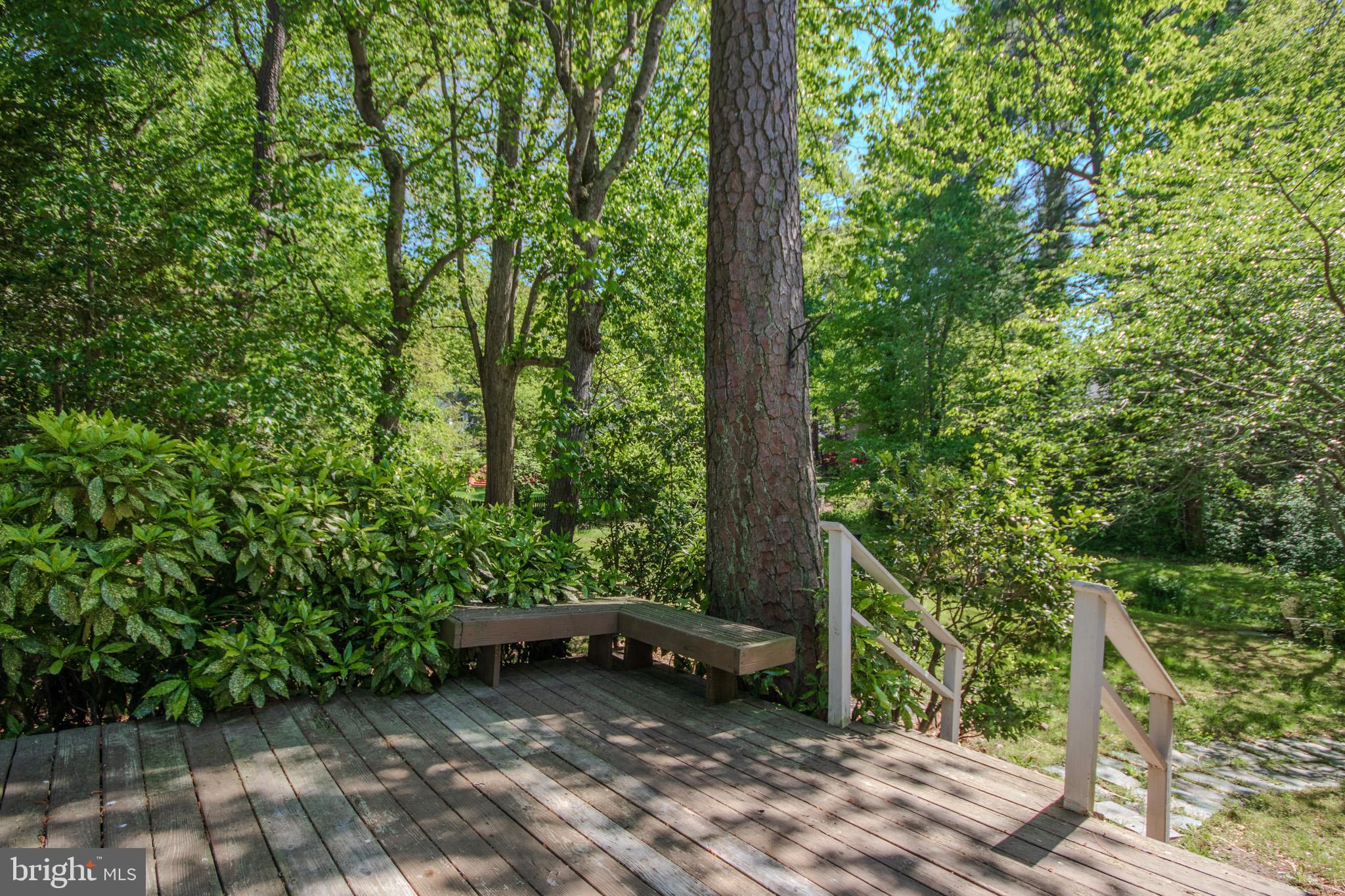 907 Riverside Road Salisbury, MD 21801 - Photo 42 of 50 Gallery Image 42