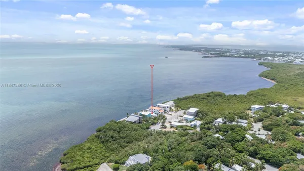 a view of a lot of trees in a yard