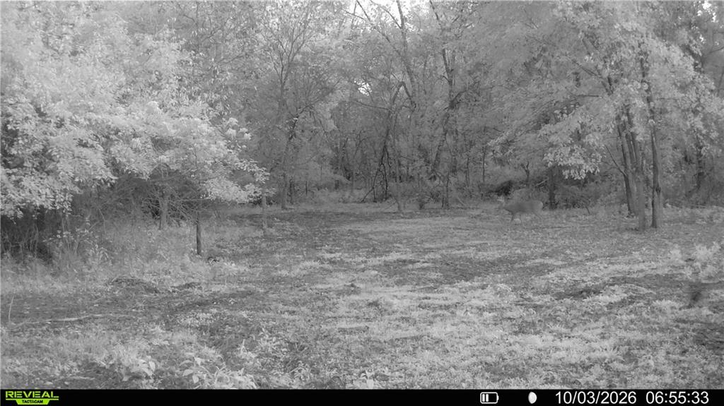 Southeast 651st Road Knob Noster, MO 65336 - Photo 77 of 78 Gallery Image 77