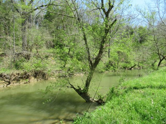 1424 Willisburg Road Lawrenceburg, KY 40342 - Photo 6 of 9 IMG_1620 (Small)