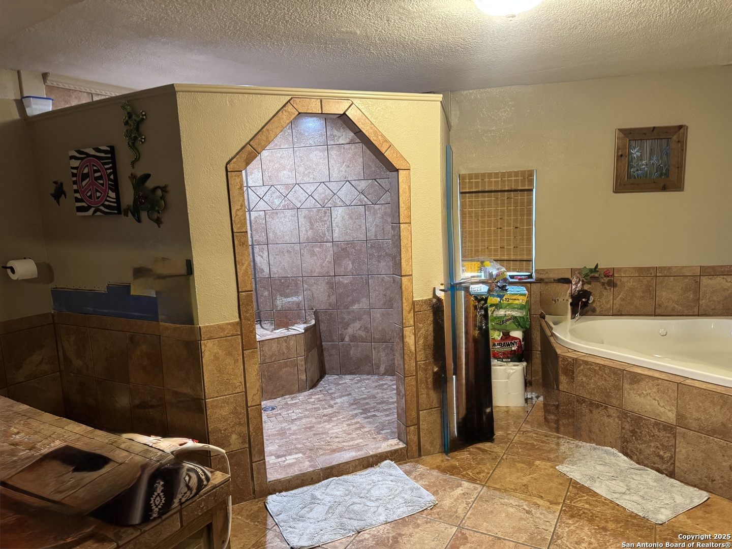 7084 Richter Road Elmendorf, TX 78112 - Photo 27 of 59