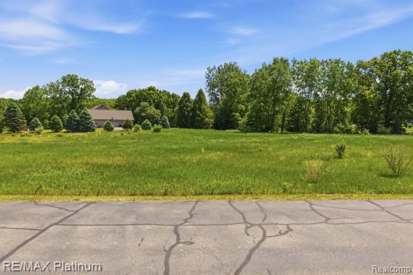 0 Iosco Mountain Road Gregory, MI 48137 - Photo 7 of 22