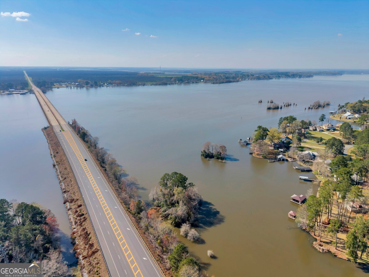 254 Valhalla Road South, Unit F Cordele, GA 31015 - Photo 36 of 41 an aerial view of a house with a lake view