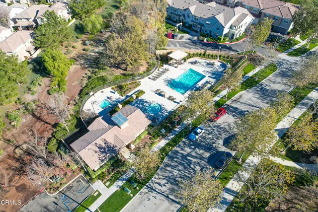 a picture of flowers