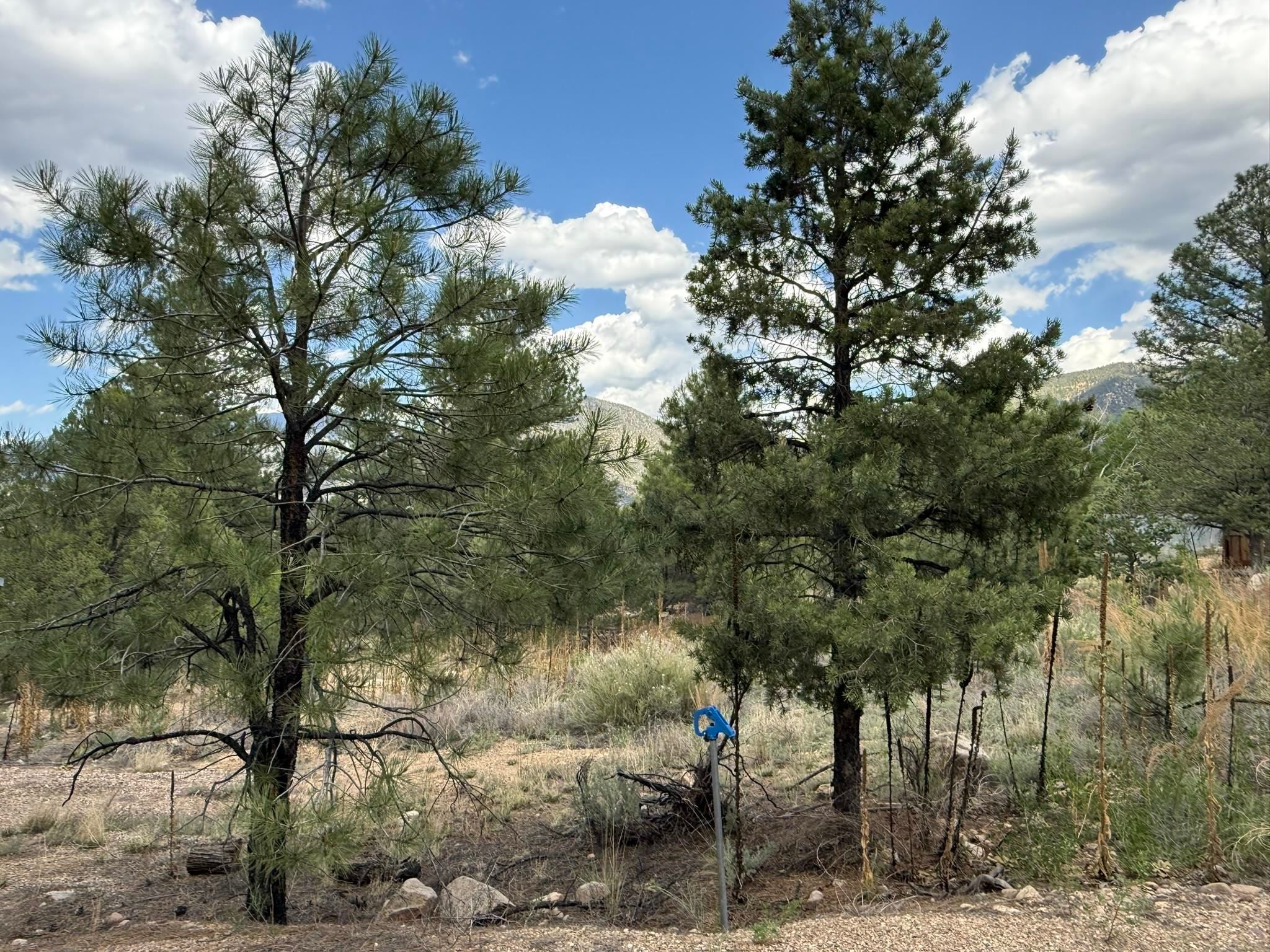 2318 Old Red River Road, Unit B Questa, NM 87556 - Photo 30 of 35 Gallery Image 30