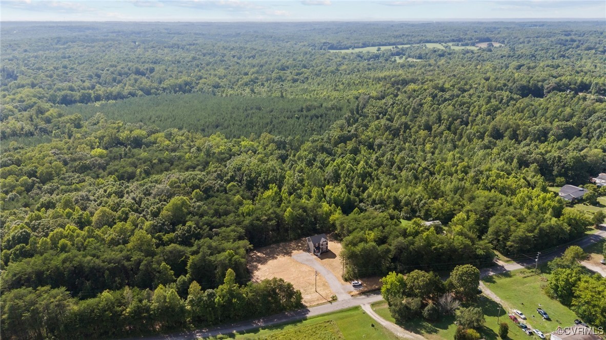 726 Stoney Point Road Cumberland, VA 23040 - Photo 3 of 32 a view of a lush green forest with a lake and trees