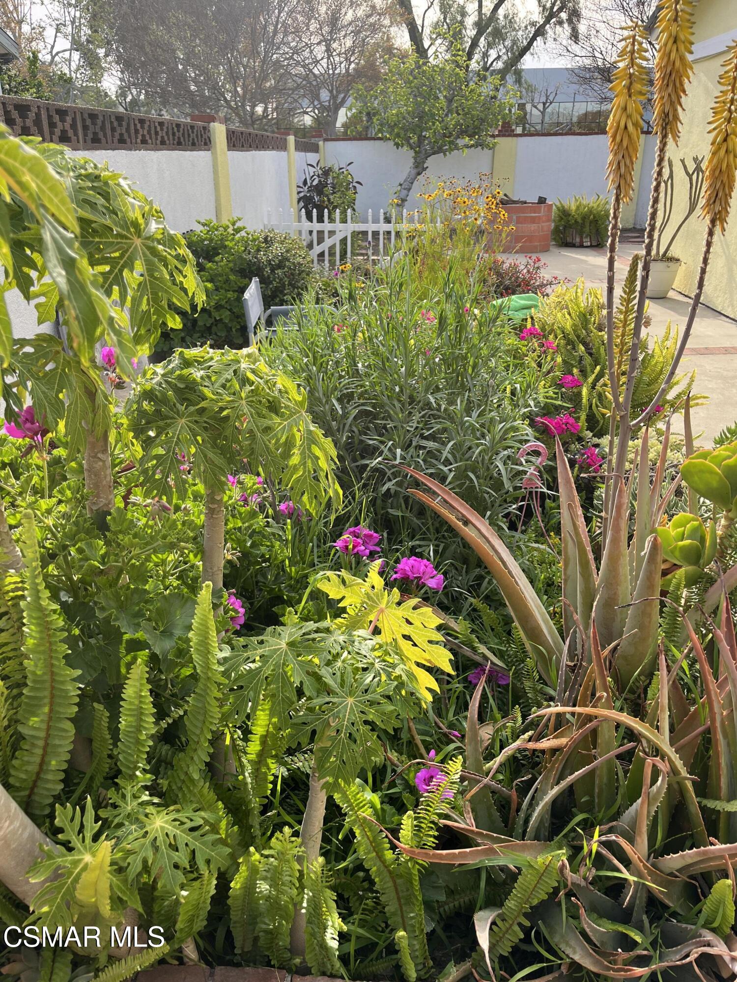 2161 Lysander Avenue Simi Valley, CA 93065 - Photo 36 of 44 20250402_002314248_iOS