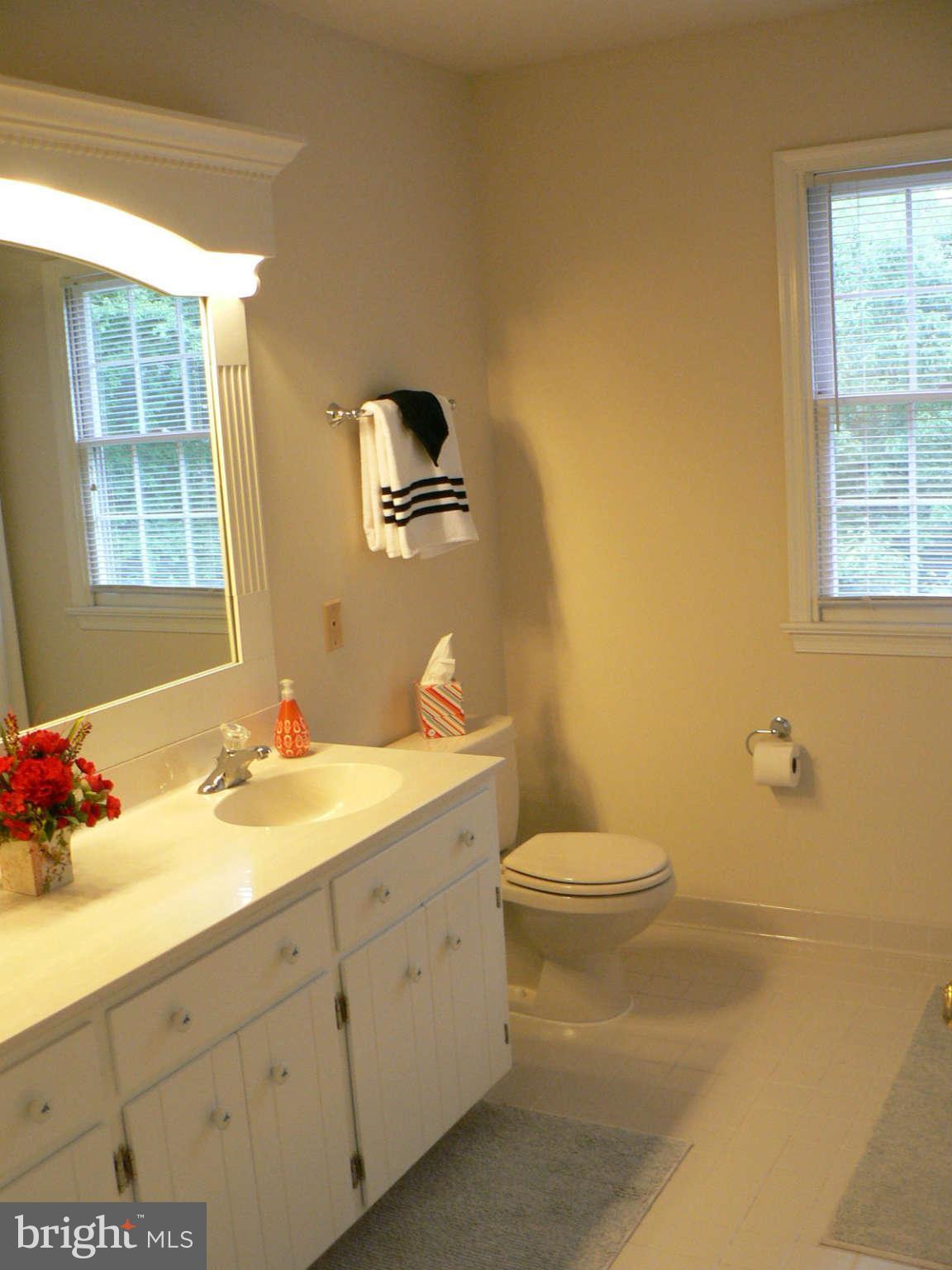 17608 Longdraft Road Gaithersburg, MD 20878 - Photo 16 of 30 Bath (Master)