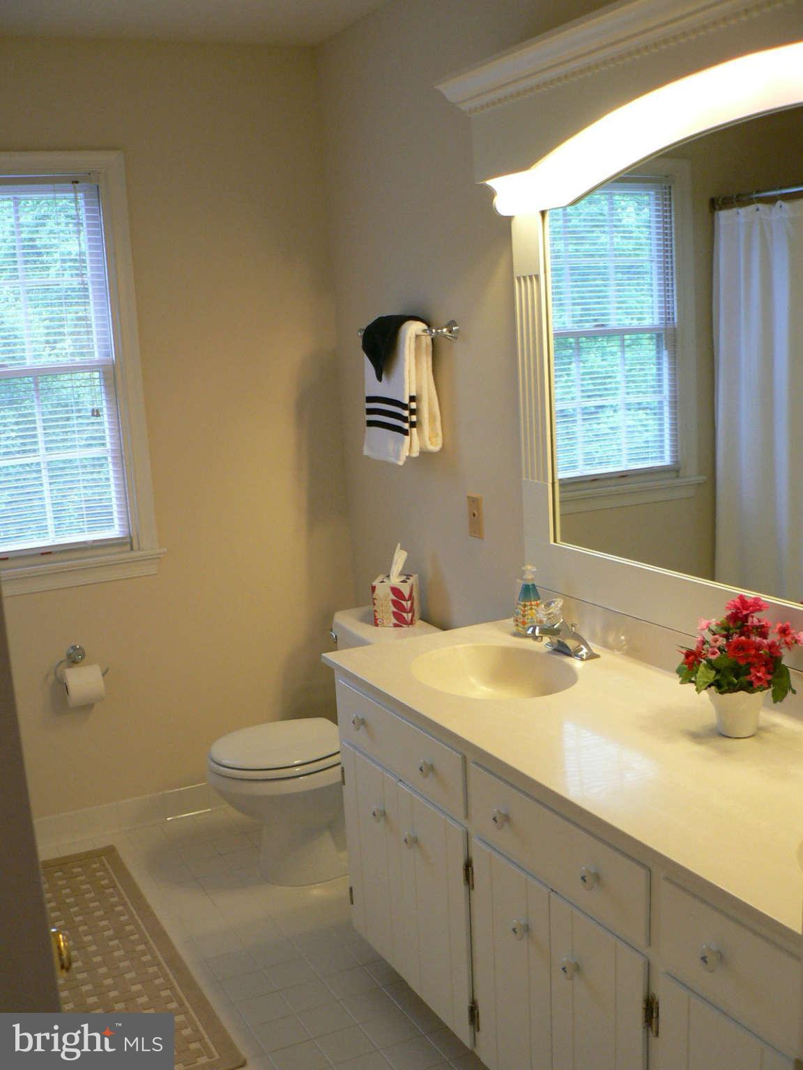 17608 Longdraft Road Gaithersburg, MD 20878 - Photo 21 of 30 Bath