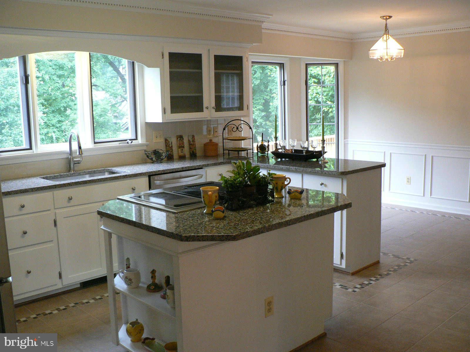 17608 Longdraft Road Gaithersburg, MD 20878 - Photo 5 of 30 Kitchen