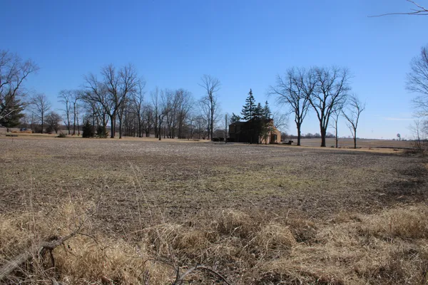 a view of dirt field with trees