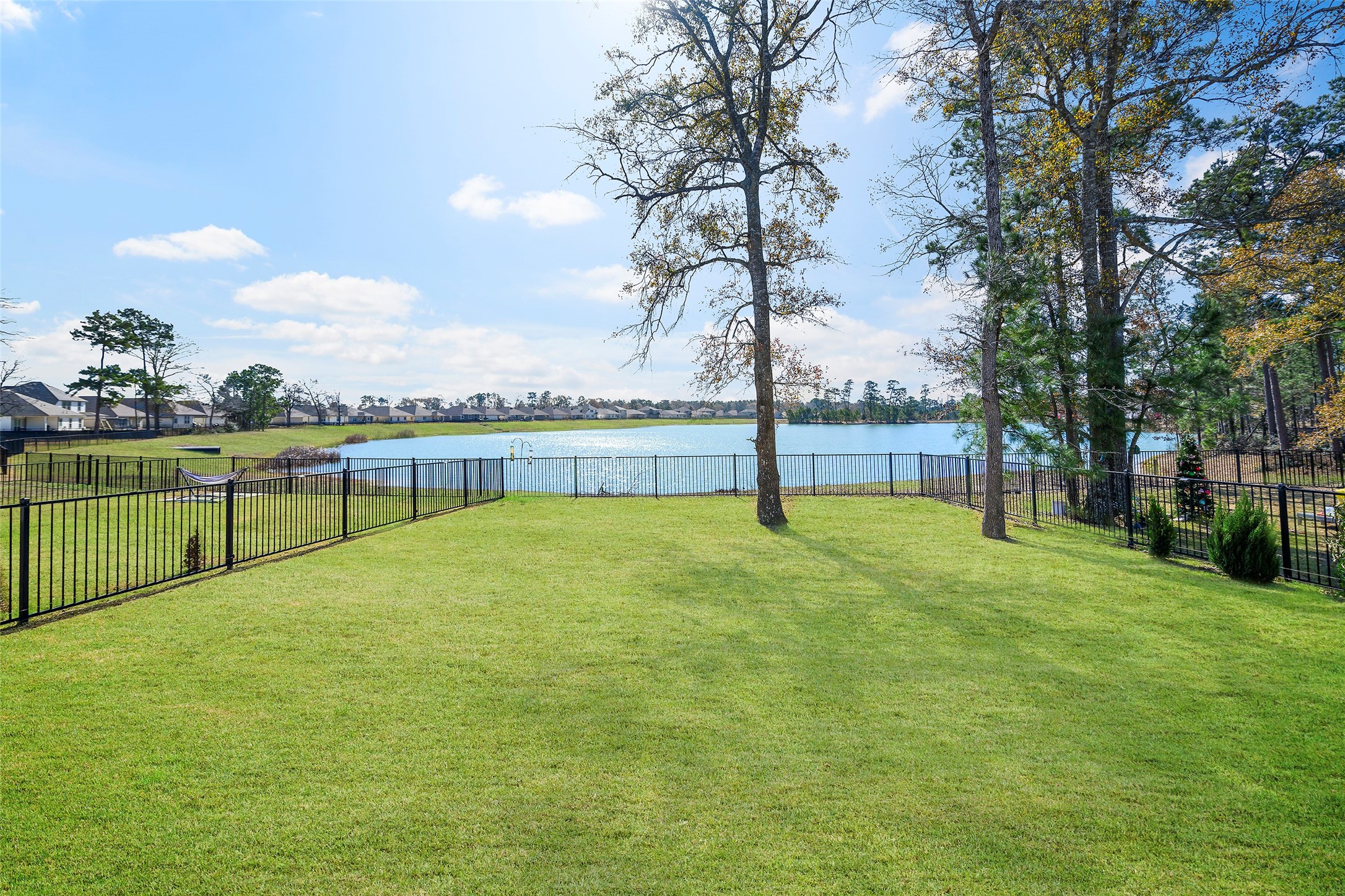 427 Shoreview Drive Conroe, TX 77303 - Photo 3 of 48 Daily Views From Your BIG Backyard