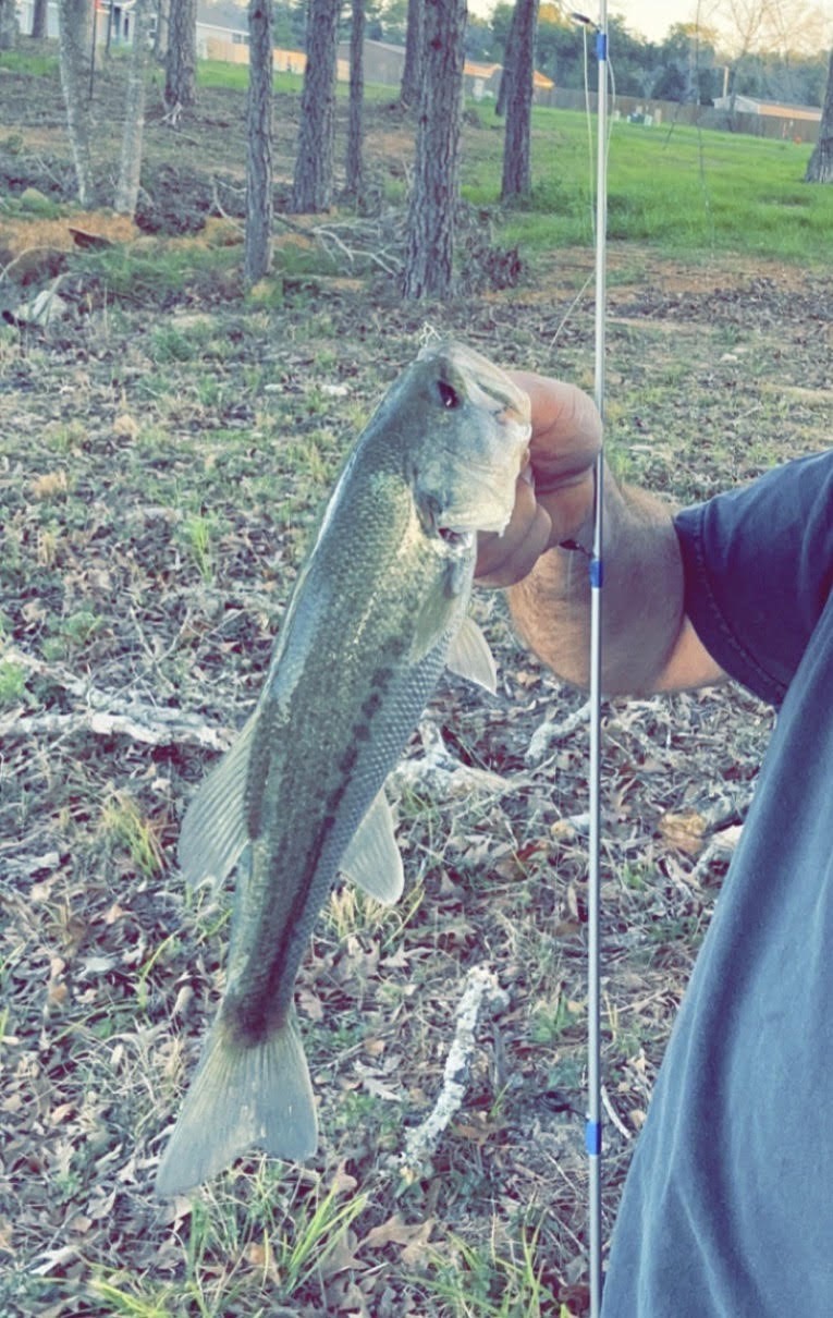 427 Shoreview Drive Conroe, TX 77303 - Photo 48 of 48 Large Mouth Bass Caught In Lake