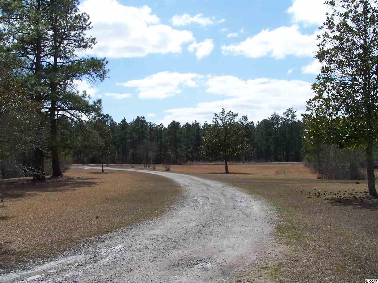 521 Bonnie Bay Road Loris, SC 29569 - Photo 3 of 16 Gallery Image 3