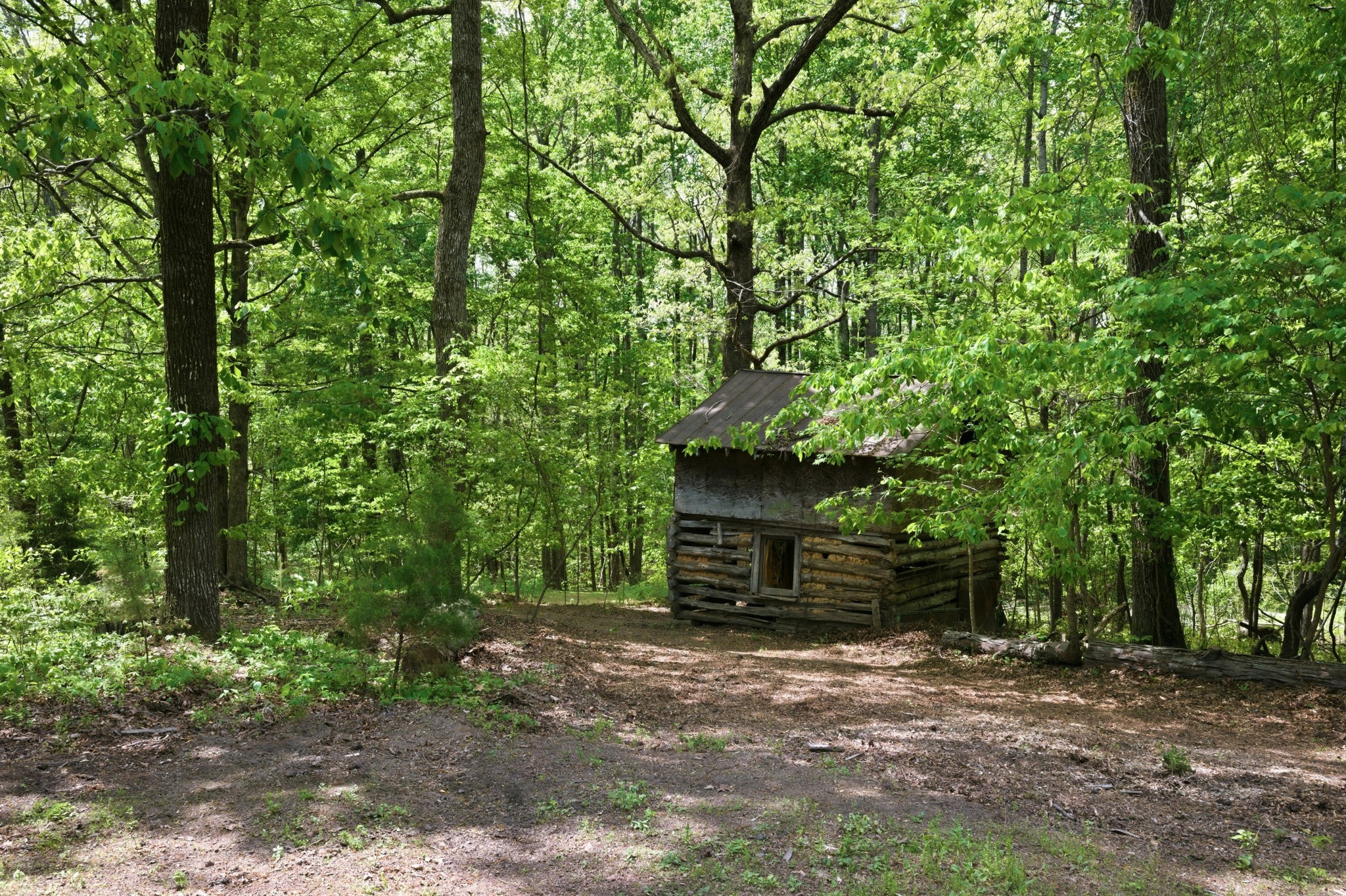 1566 Porter Road Burns, TN 37029 - Photo 27 of 41 a front view of a house with a yard and tree