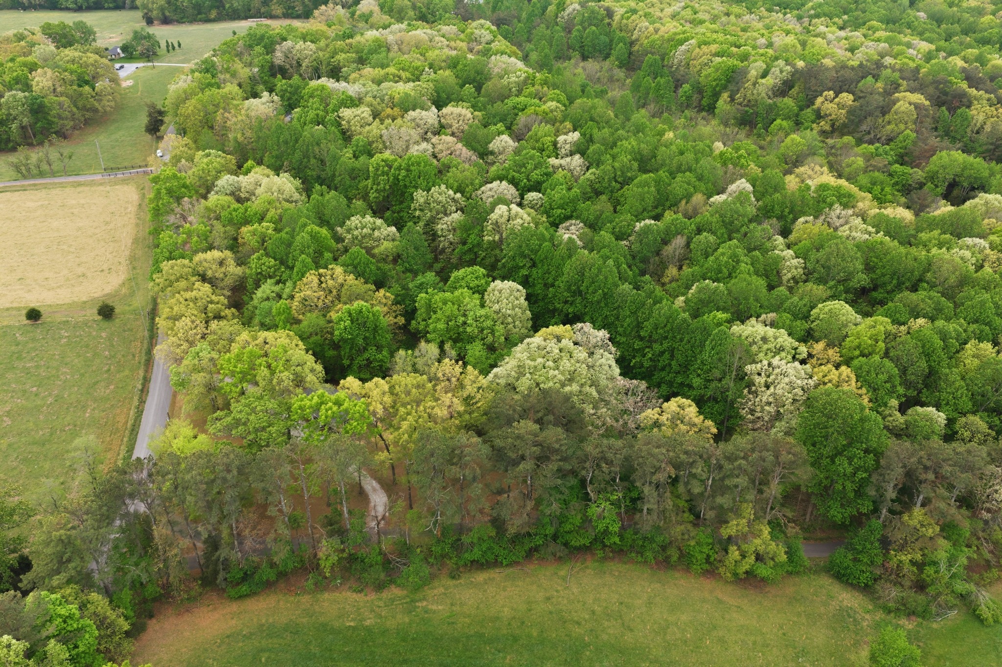 1566 Porter Road Burns, TN 37029 - Photo 29 of 41 a view of a garden