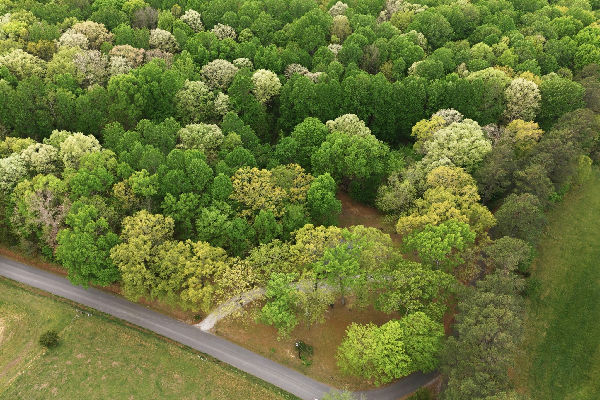 1566 Porter Road Burns, TN 37029 - Photo 32 of 41 a view of a garden with plants