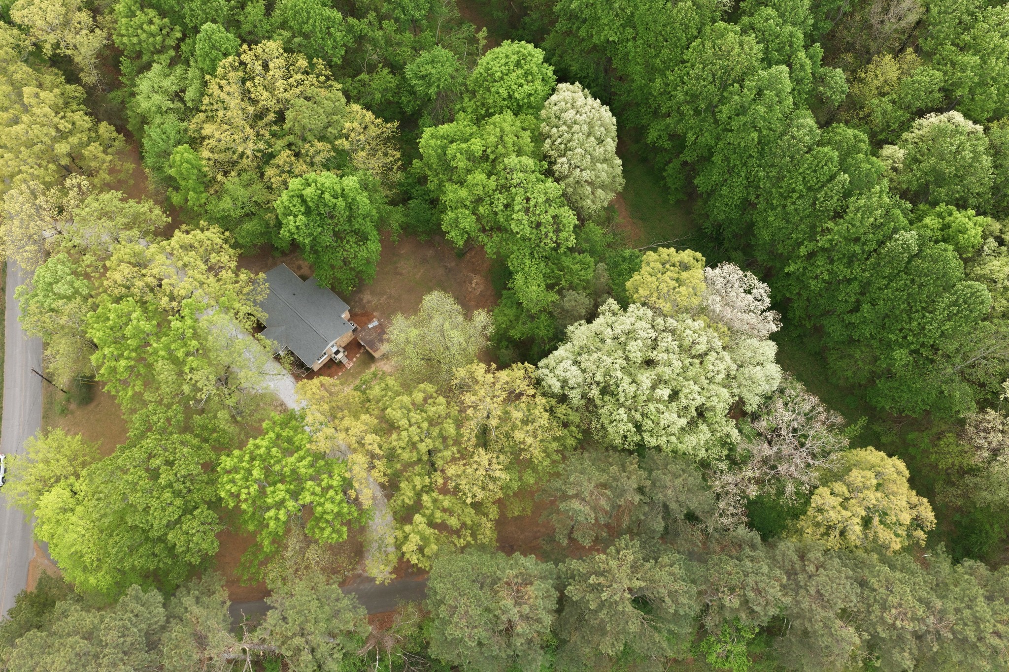 1566 Porter Road Burns, TN 37029 - Photo 33 of 41