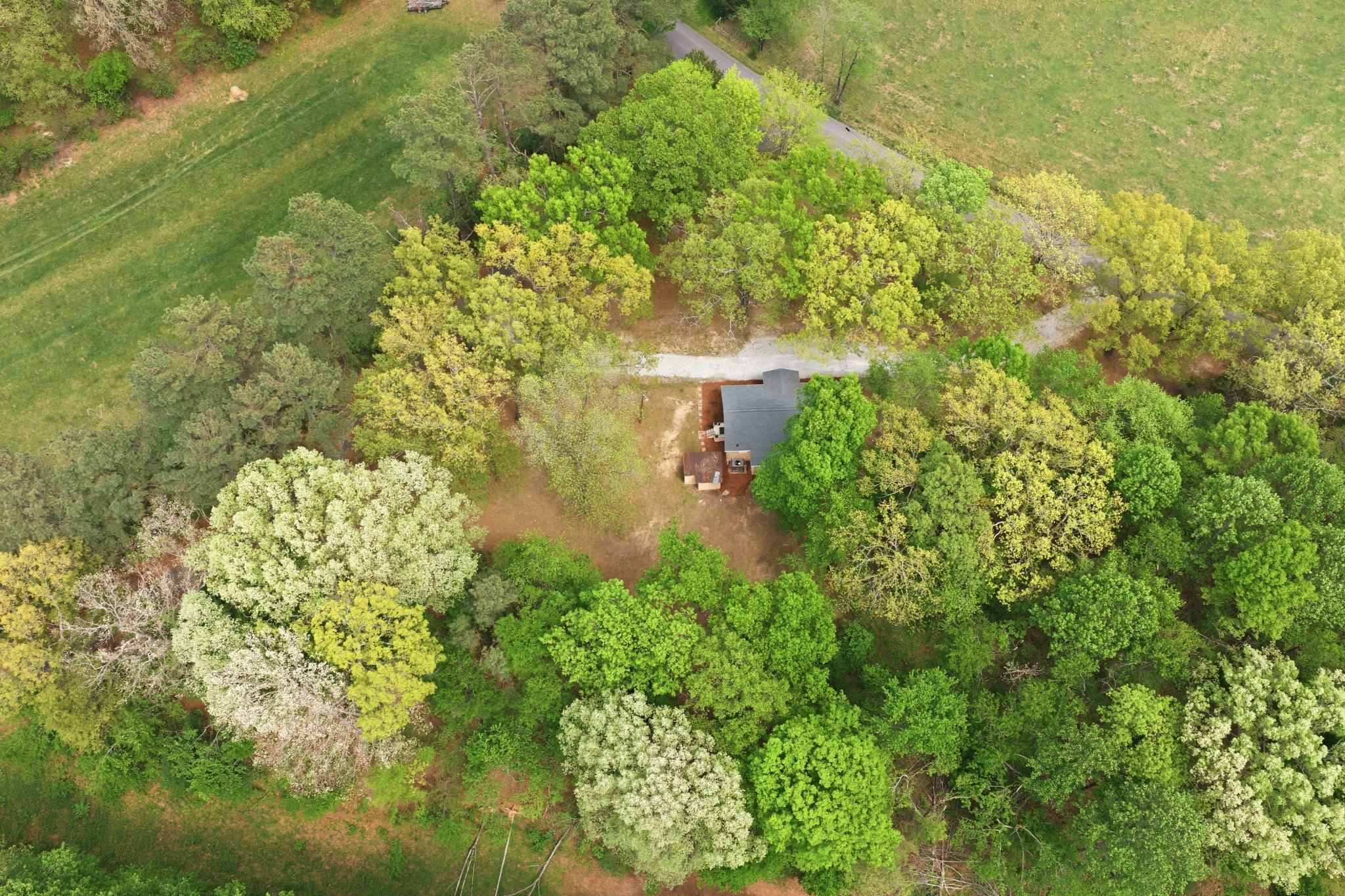 1566 Porter Road Burns, TN 37029 - Photo 34 of 41 a view of a garden with plants