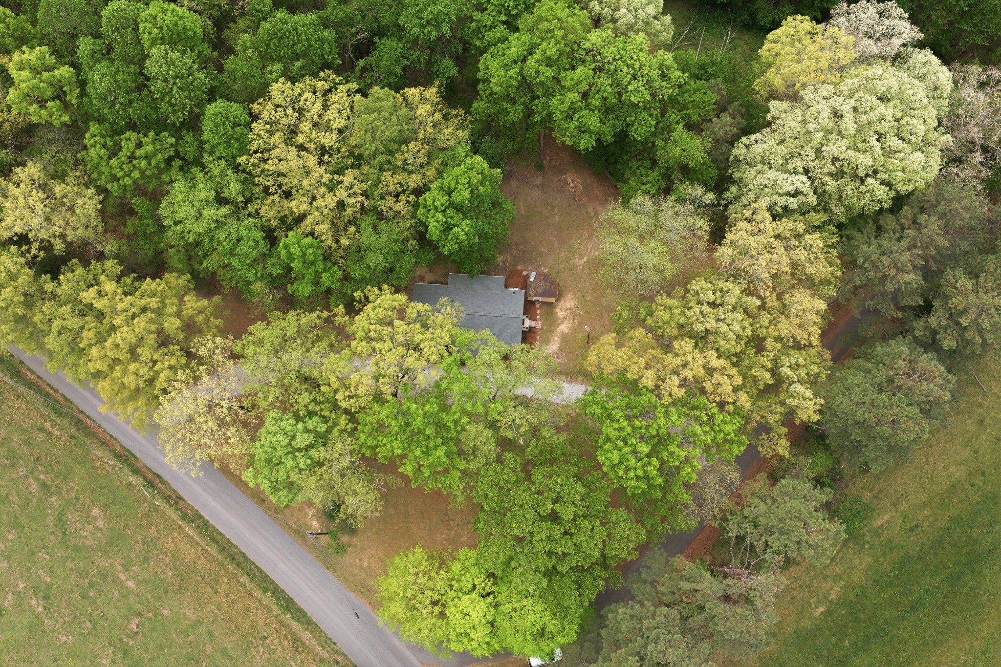 1566 Porter Road Burns, TN 37029 - Photo 36 of 41 a view of a garden with a fountain
