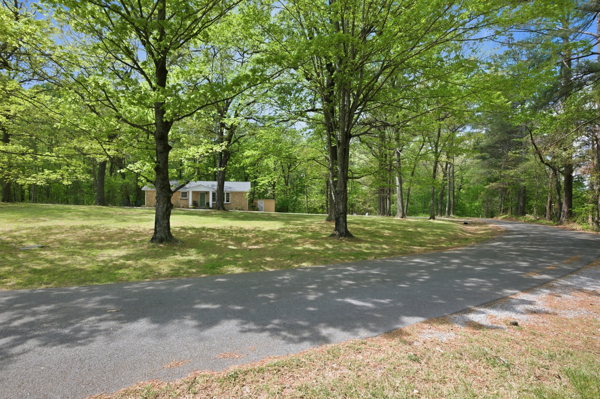 1566 Porter Road Burns, TN 37029 - Photo 38 of 41 a view of a tree in the middle of a yard