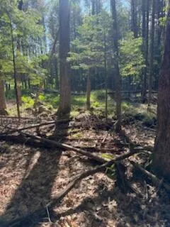 $75,000 | 0 Tuttle Lane, Bridgton, ME 04009