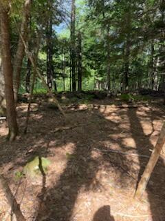 0 Tuttle Lane Bridgton, ME 04009 - Photo 12 of 23 IMG_5016