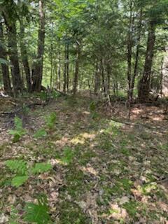 0 Tuttle Lane Bridgton, ME 04009 - Photo 13 of 23 IMG_5017