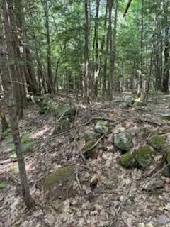 $75,000 | 0 Tuttle Lane, Bridgton, ME 04009