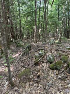 0 Tuttle Lane Bridgton, ME 04009 - Photo 15 of 23 IMG_5019