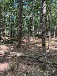 0 Tuttle Lane Bridgton, ME 04009 - Photo 16 of 23 IMG_5020