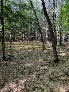 $75,000 | 0 Tuttle Lane, Bridgton, ME 04009