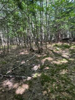 0 Tuttle Lane Bridgton, ME 04009 - Photo 18 of 23 IMG_5023