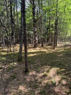 0 Tuttle Lane Bridgton, ME 04009 - Photo 19 of 23 IMG_5024