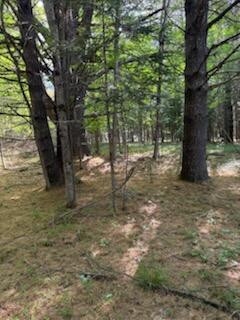 0 Tuttle Lane Bridgton, ME 04009 - Photo 20 of 23 IMG_5025