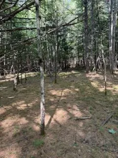 $75,000 | 0 Tuttle Lane, Bridgton, ME 04009