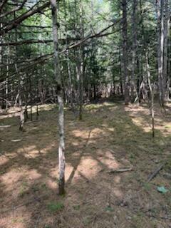 0 Tuttle Lane Bridgton, ME 04009 - Photo 21 of 23 IMG_5026