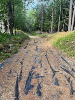 0 Tuttle Lane Bridgton, ME 04009 - Photo 23 of 23 IMG_5029