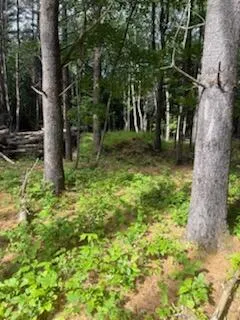 $75,000 | 0 Tuttle Lane, Bridgton, ME 04009