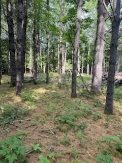 $75,000 | 0 Tuttle Lane, Bridgton, ME 04009