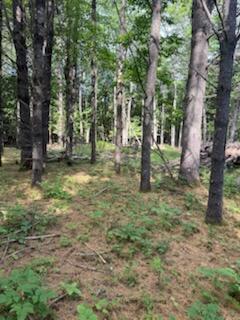 0 Tuttle Lane Bridgton, ME 04009 - Photo 7 of 23 IMG_5011