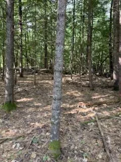 $75,000 | 0 Tuttle Lane, Bridgton, ME 04009