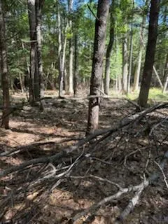 $75,000 | 0 Tuttle Lane, Bridgton, ME 04009