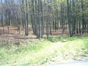 501 Swisher Road Staunton, VA 24401 - Photo 2 of 3 Gallery Image 2