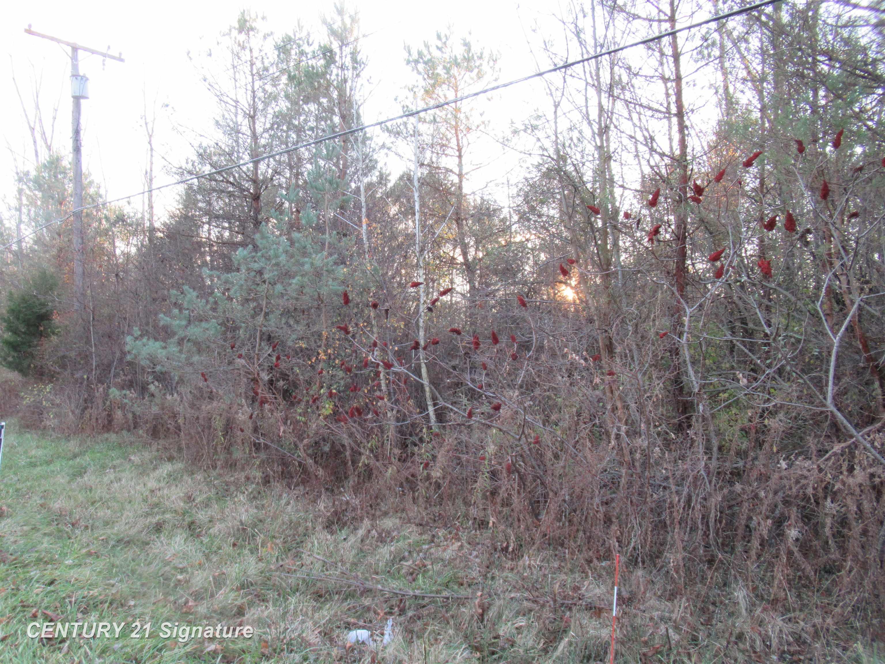 9119 North Seymour Road Flushing, MI 48433 - Photo 2 of 12